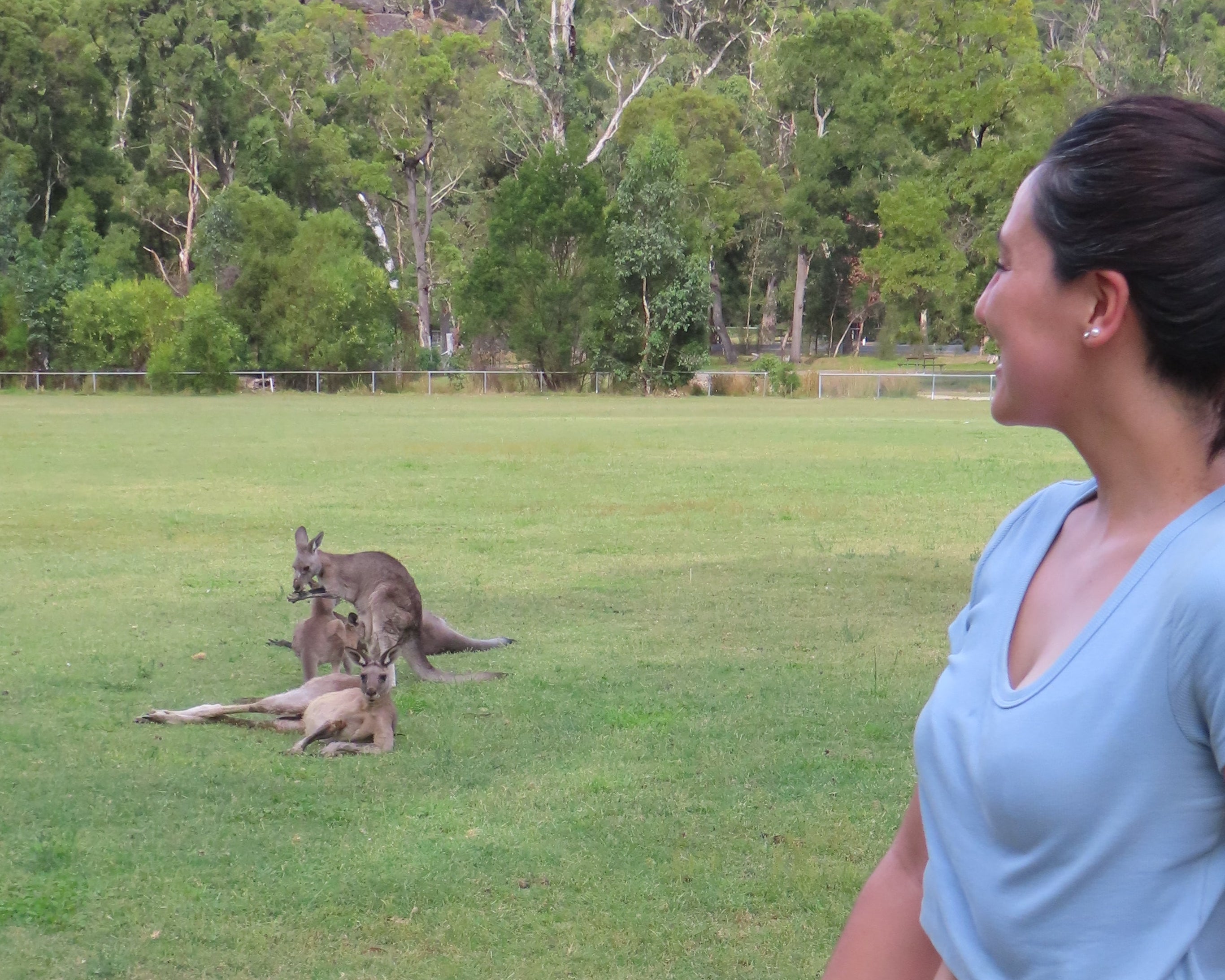The Grampians Tour