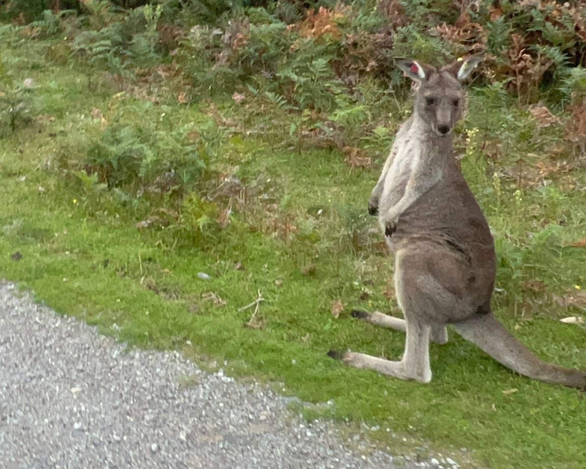 Wilsons Promontory Tour
