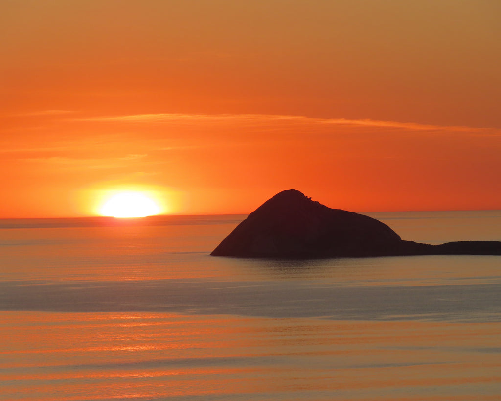 Wilsons Promontory Tour