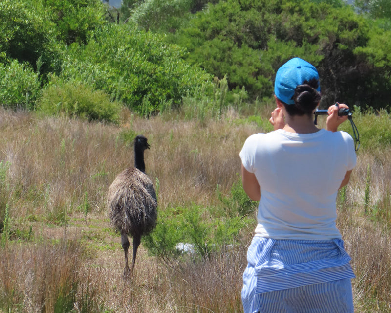Wilsons Promontory Tour
